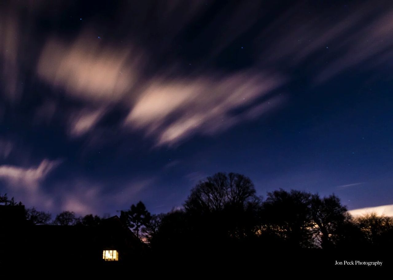 SILHOUETTE OF TREES AGAINST DRAMATIC SKY