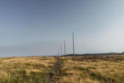 Scenic view of field against clear sky