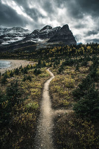 Scenic trail in