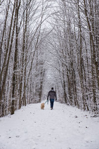 Man walking a dog on snowy trail through the woods on a winter day.