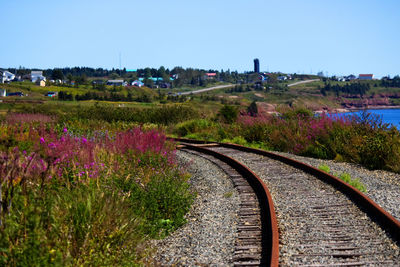 Scenic view of landscape against clear sky