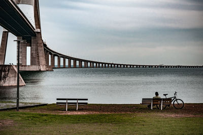 Rear view of man sitting on bench by sea against sky