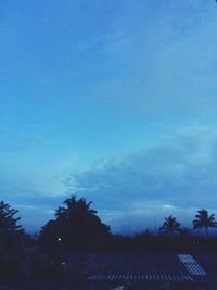 Silhouette of palm trees against blue sky