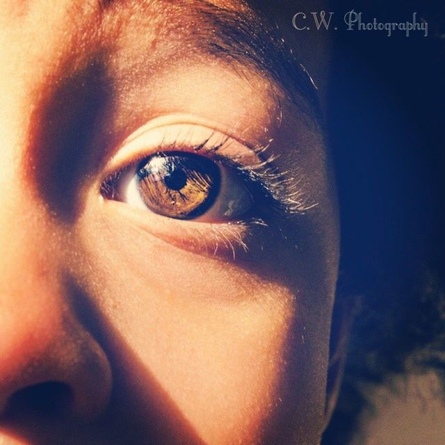 close-up, human eye, portrait, part of, looking at camera, human face, eyelash, eyesight, indoors, sensory perception, extreme close-up, animal eye, headshot, staring, human skin, cropped, detail