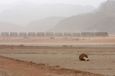 Freight train at desert against mountains in foggy weather