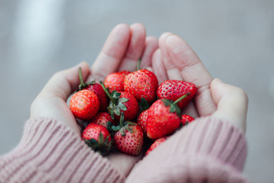 Cropped hand of person holding strawberries