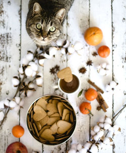 High angle view of cat standing by heart shape cookies and cotton