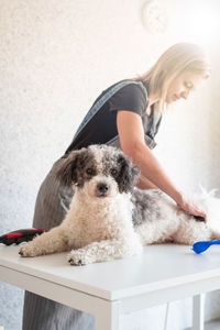 Young woman grooming dog at salon