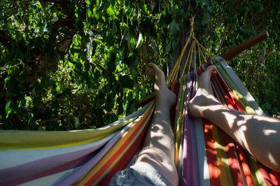 Low section of people relaxing on hammock in forest