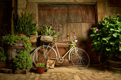 Bicycle by potted plants outside house