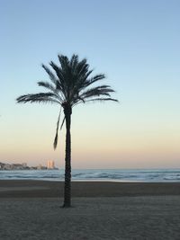 Silhouette palm trees on beach against sky during sunset