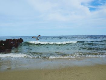 Scenic view of beach against sky