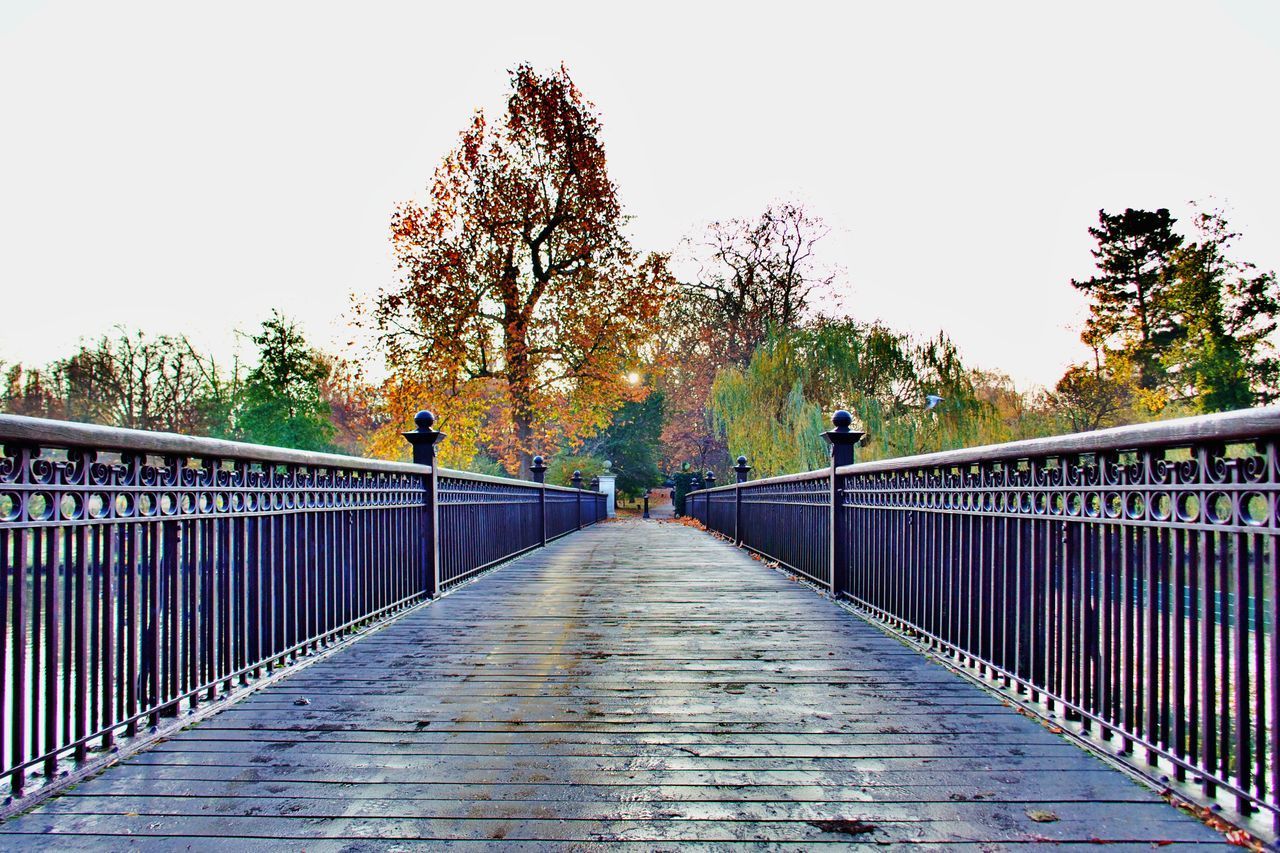 NARROW FOOTBRIDGE ALONG PLANTS AND TREES AGAINST SKY