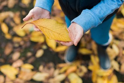 Woman holding autumn leaves