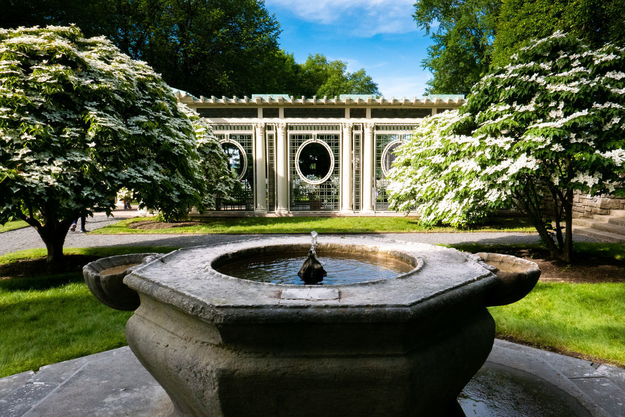 VIEW OF FOUNTAIN IN PARK