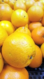 Close-up of oranges in market