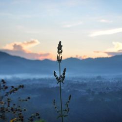 Scenic view of landscape against cloudy sky