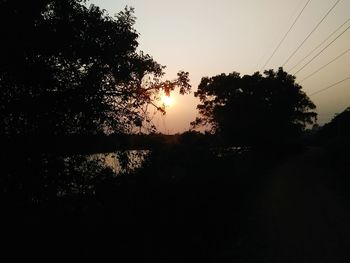 Silhouette of trees at sunset