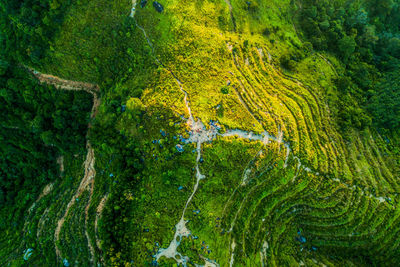 Aerial view of green mountain