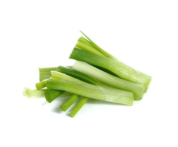 High angle view of green leaf on white background