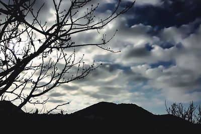 Low angle view of bare trees against cloudy sky