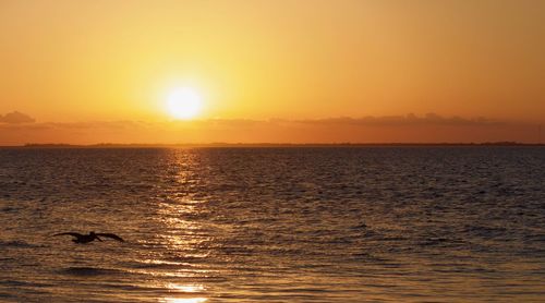 Scenic view of sea against orange sky