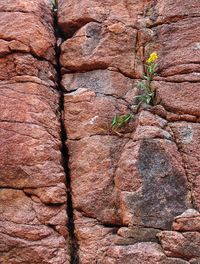 Full frame shot of rock