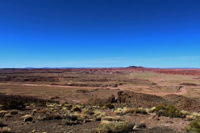 Scenic view of field against clear blue sky