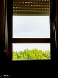 window