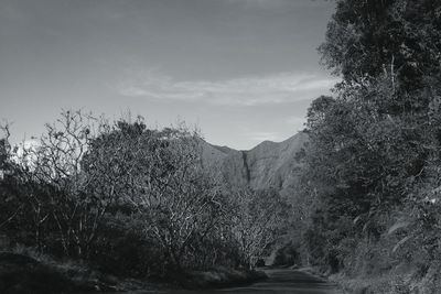Scenic view of land against sky