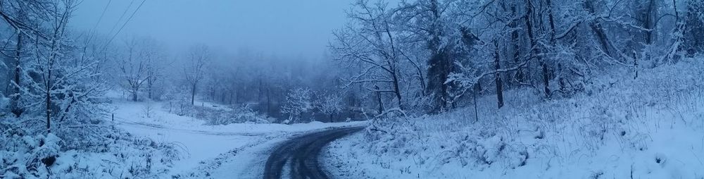 Snow covered landscape