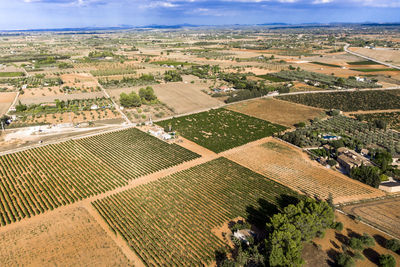 High angle view of agricultural field