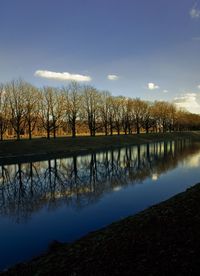 Reflection of trees in lake against sky