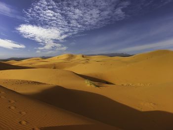 Route through the merzouga desert. camel prints in the sand. 