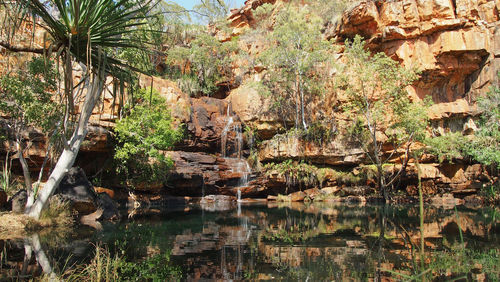 Scenic view of rock formation amidst trees