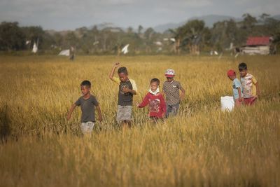 Children playing on agricultural field