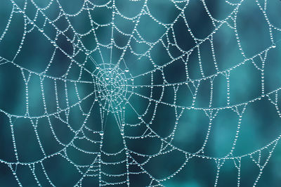 Full frame shot of wet spider web
