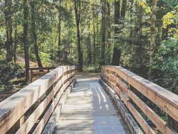 Wooden footbridge amidst trees in forest