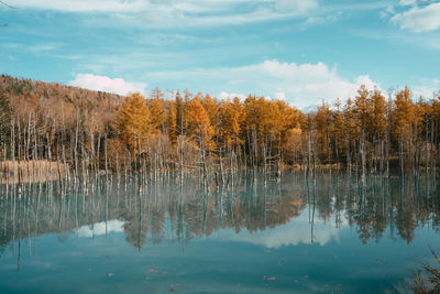 Scenic view of lake against sky during autumn