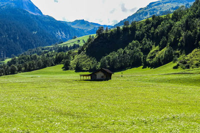 Scenic view of green mountains against sky