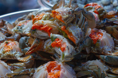 Close-up of fresh food in plate