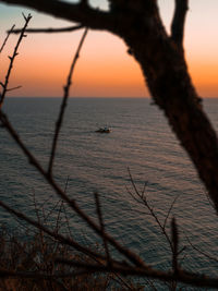 Silhouette tree by sea against sky during sunset