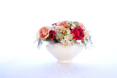 Close-up of rose flower vase against white background