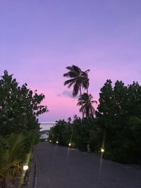 Palm trees on road against sky at sunset