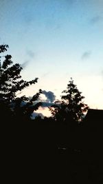 Low angle view of silhouette trees against sky at sunset