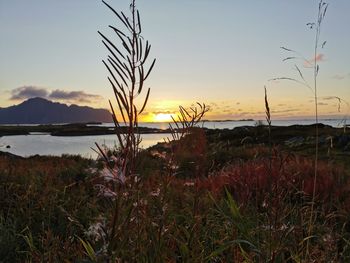 Scenic view of lake against sky during sunset