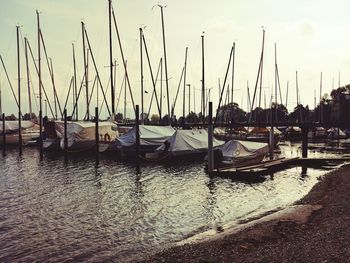 Sailboats moored in harbor