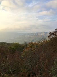 Scenic view of landscape against sky