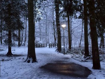 Scenic view of snow covered landscape