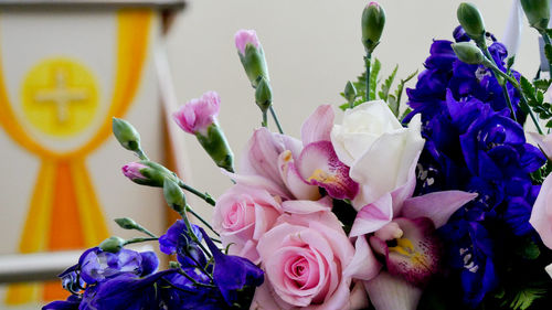 Close-up of purple roses